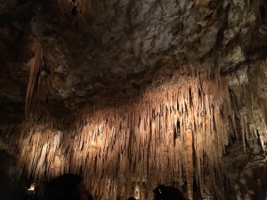 img_1756
