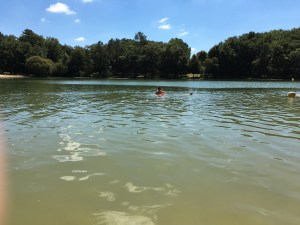 img_2368