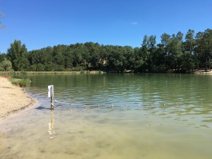 img_2371