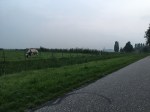 img_3474