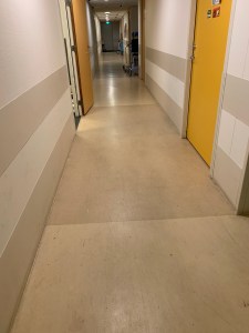 img_0869