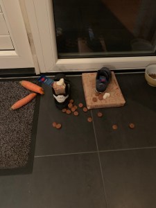 img_0872