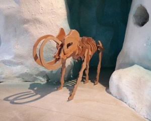 img_6054