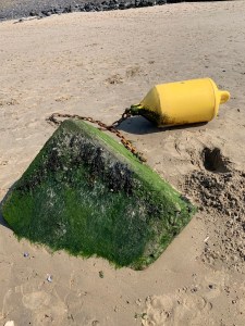 img_5842