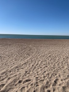 img_3696