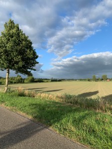 img_6216